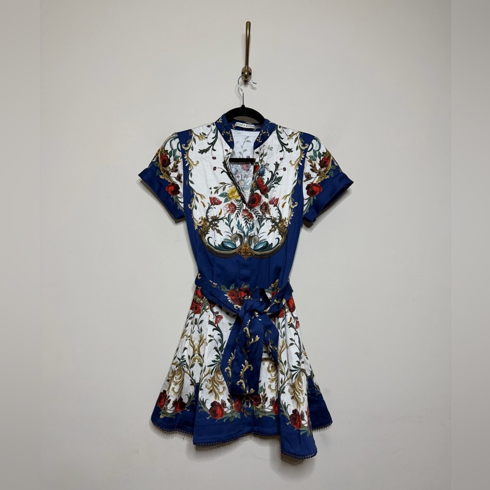 Alice + Olivia Lucy Mini Shirt Dress - Picture 6 of 9